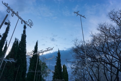 Desarrollo de plataforma SaaS personalizada en Castellón de la Plana