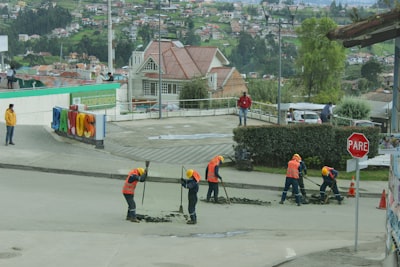 Renovación automatizada para miembros profesionales en Málaga
