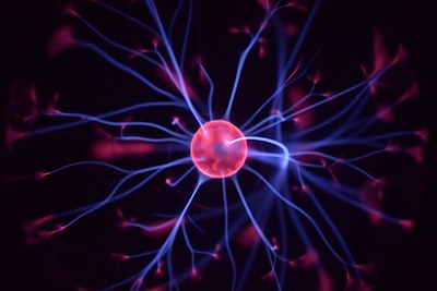 Operador Neural de Fourier Equivariante para Simetrías Físicas