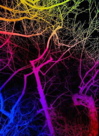 Mejoras emocionales en la red neuronal.