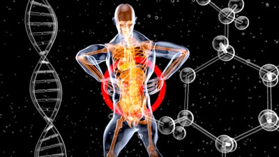 Backbones sin activación y alternativas polinomiales para reconocimiento de imágenes en modelos MetaFormer