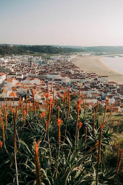 Explora Algarve y Discover Portugal