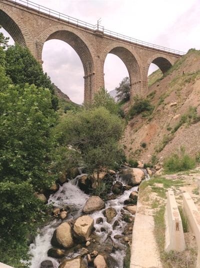 Información como desviación de máximo calibre: puente entre IIT y principio de energía libre