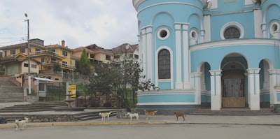 Mejores 30 expertos en desarrollo de IA en La Orotava