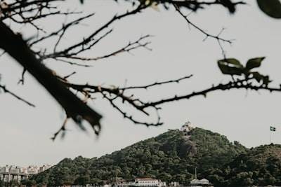 La mejor manera de encontrar bots de SEO en Vitoria