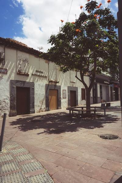 n8n en Colmenar Viejo