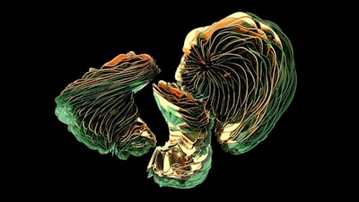 Render-FM: renderizado de CT en 2.8 segundos sin optimización