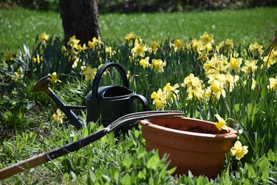 Nuestras ofertas favoritas de limpieza de primavera en la Gran Venta de Primavera de Amazon