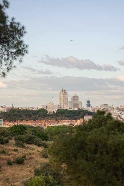 Top 5 expertos en vibe coding para empresas en Madrid