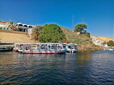 Servicios de integración en Laguna de Duero