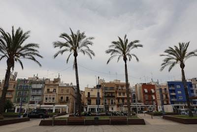 Consultor de software en Tarragona con más de 15 años de experiencia