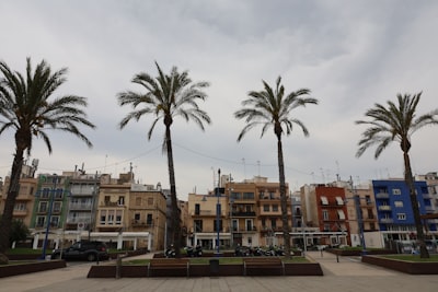 Top 100 Empresas de Software de Negocios en Tarragona