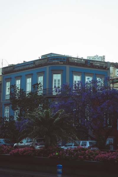 Empresa de consultoría empresarial en Las Palmas de Gran Canaria