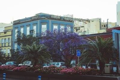 Empresa de software en Las Palmas