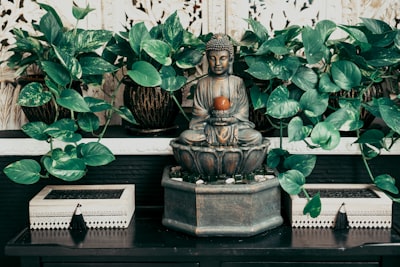 Consejos de Feng Shui para la prosperidad y el amor