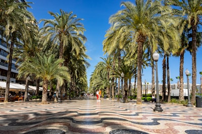 Software empresarial en Alicante