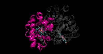 Generalización molecular OOD con selección de fuente consciente del objetivo