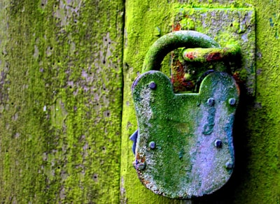 Apoyo ambiental a través de la consultoría de ciberseguridad para aplicaciones.
