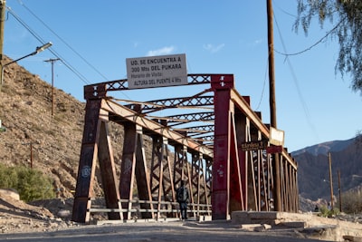 Puentes de Schrödinger de Difusión Cuantizada