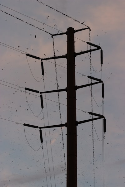 TikTok: fallas recientes por corte de energía en centro de datos de EE. UU.