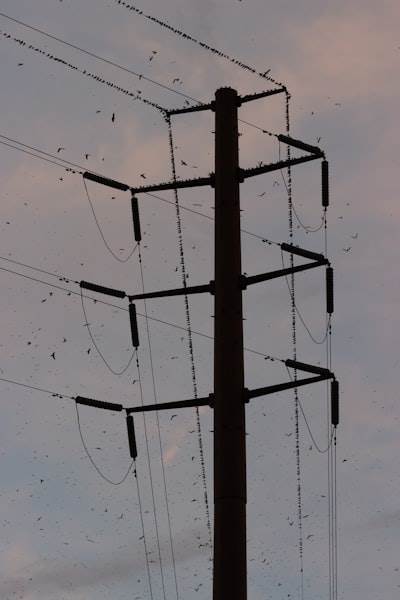 La importancia de la frecuencia de la red eléctrica