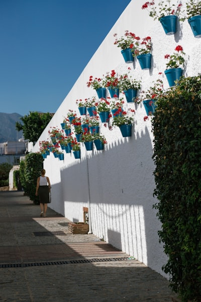 Bots de Telegram en Marbella