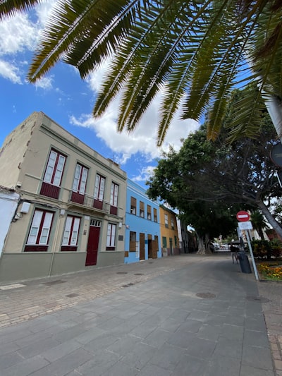 Empresa especializada en automatización de panaderías en Santa Cruz de Tenerife