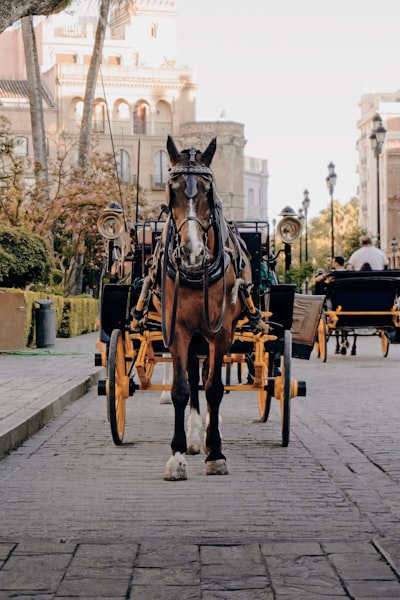 Mejores opciones para recuperar carritos abandonados en Sevilla