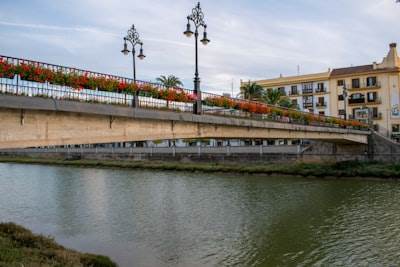SEO Bots en Figueres