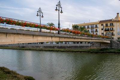 SEO Bots en Albacete