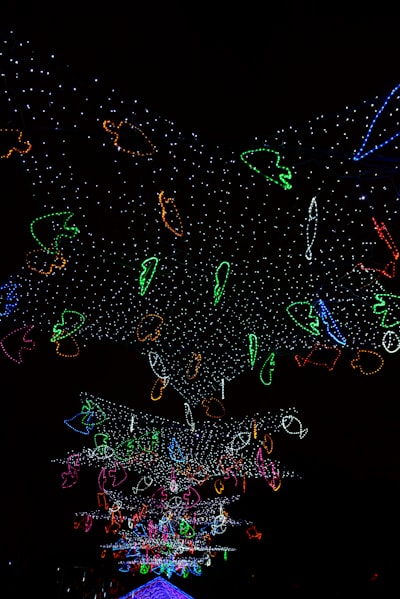 Red de enlace funcional de vectores aleatorios Multiview para predecir proteínas unión ADN