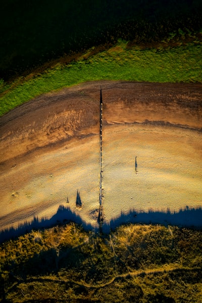 Nuevo dataset de paisaje para XAI conceptual en modelos de especies