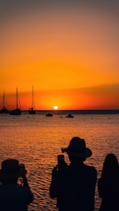 Top 100 Software Experts for Businesses in Ibiza
