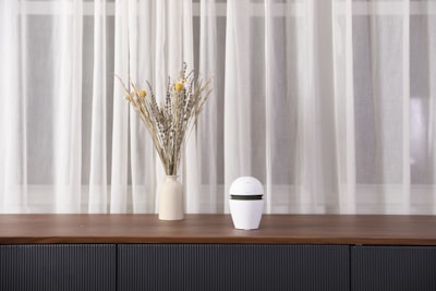 Echo Dot como Central de Hogar Inteligente