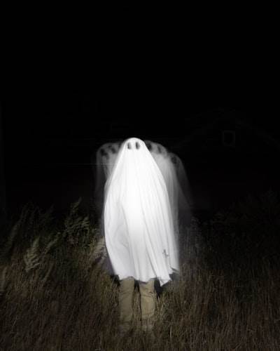 Optimizando la influencia en las redes sociales: Fantasma digital