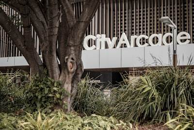 Mejores empresas de desarrollo de software en Caravaca de la Cruz