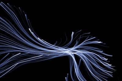 El espinazo detrás de la innovación de fibra.