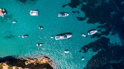 Las principales empresas de bots de SEO en Ibiza