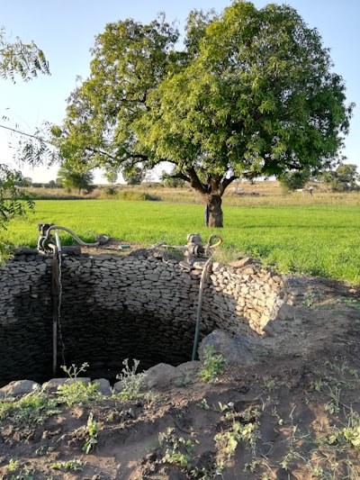Agricultura Inteligente: Optimizando la Gestión del Agua con IA
