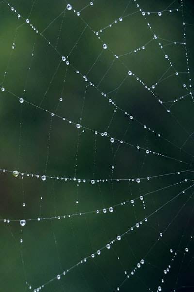 Las DApps de Web3: futuro de la innovación descentralizada