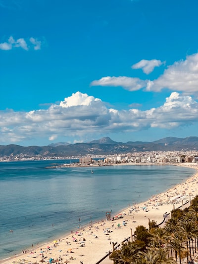 Desarrollo de aplicaciones de escritorio a medida en Palma