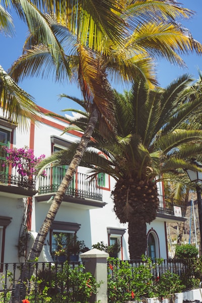 Automatización de informes de marketing en Las Palmas de Gran Canaria