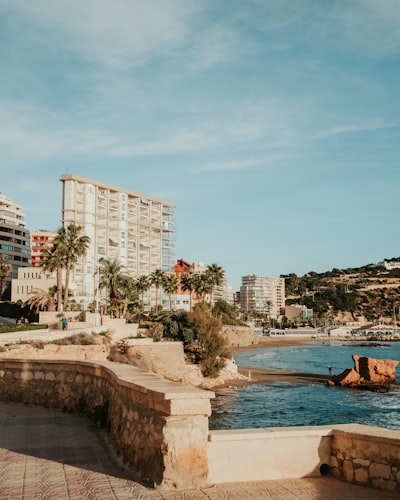 Guía completa de profesionales en chat con IA en Alicante