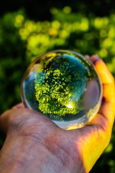 ¿Cómo el Business Intelligence puede apoyar los objetivos ambientales?