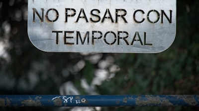 Los mejores expertos en optimización de informes en Palma 2026