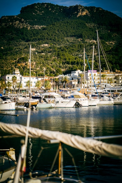 Los 30 mejores expertos en desarrollo de Copilot en Palma