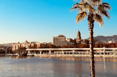 Top 15 empresas de IA en Sevilla