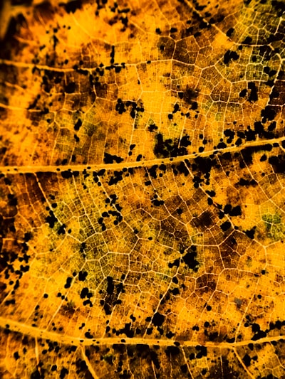 Exploración de la influencia de la heterogeneidad espacial en el riesgo climático y el bienestar humano