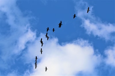 Principales expertos en migración a la nube de Azure en Sevilla
