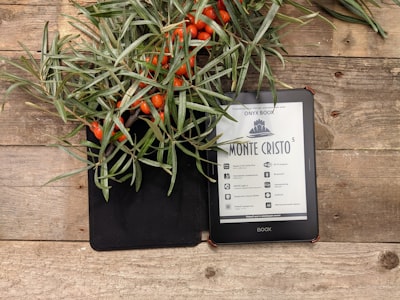 Por qué un panel E-Ink es lo que realmente necesita tu hogar inteligente